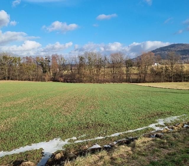 Pronájem zahrady 800 m² - foto 1