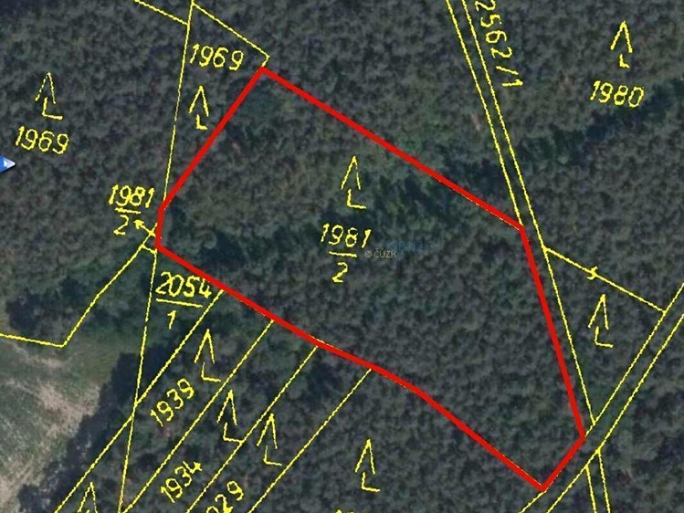 Pronájem pole 5 928 m² - foto 4
