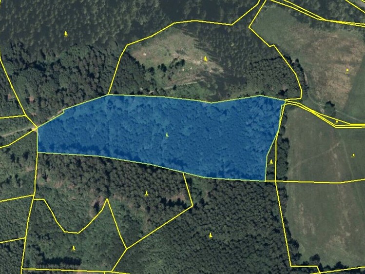 Pronájem pole 23 172 m² - foto 1