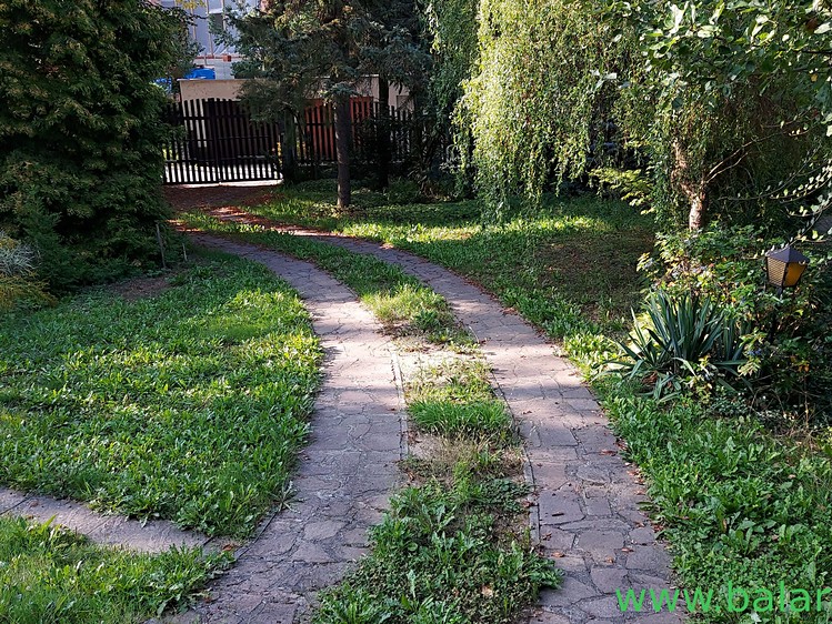 Pronájem zahrady 19 m² - foto 1