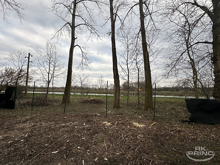 Pronájem  komerčního pozemku 1 700 m² - foto 3