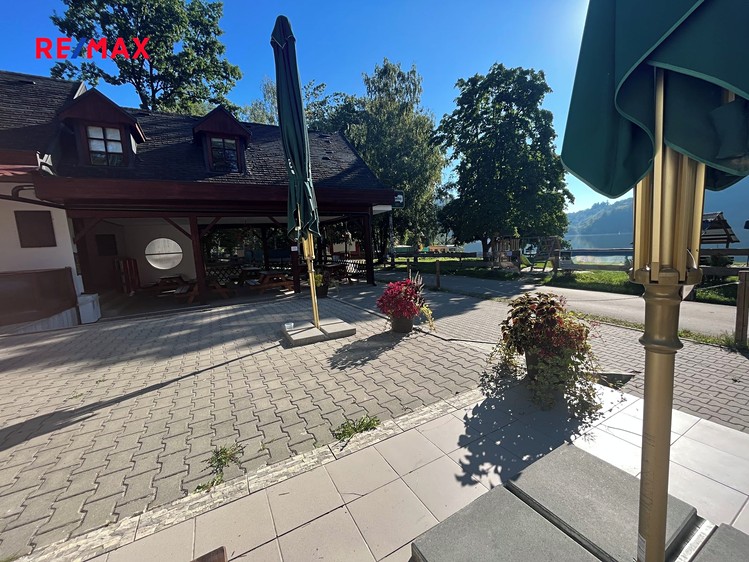 Pronájem louky 10 000 m² - foto 4
