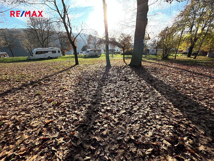 Pronájem louky 10 000 m² - foto 5