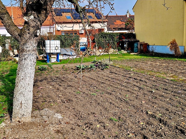 Pronájem zahrady 379 m² - foto 2