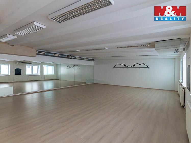 Prodej obchodního prostoru 305 m² - foto 8