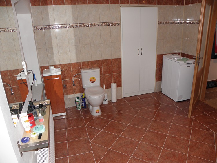 Prodej obchodního prostoru 720 m² - foto 6