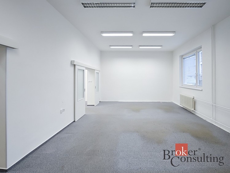 Prodej obchodního prostoru 740 m² - foto 6
