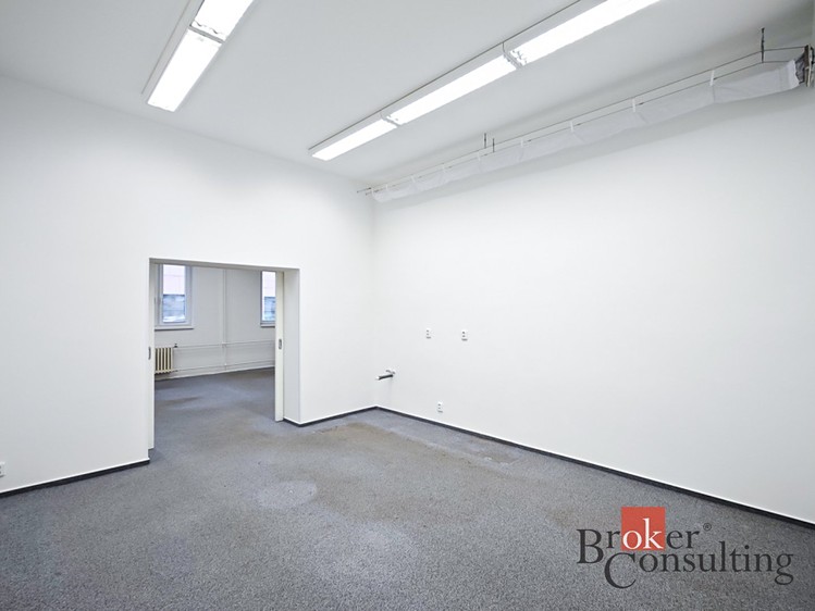 Prodej obchodního prostoru 740 m² - foto 5