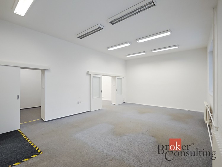 Prodej obchodního prostoru 740 m² - foto 7