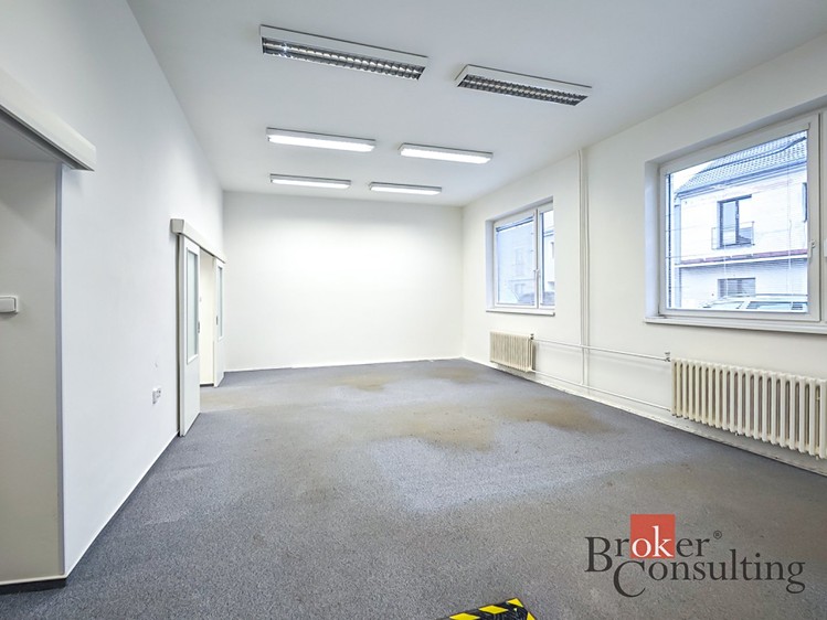 Prodej obchodního prostoru 740 m² - foto 8