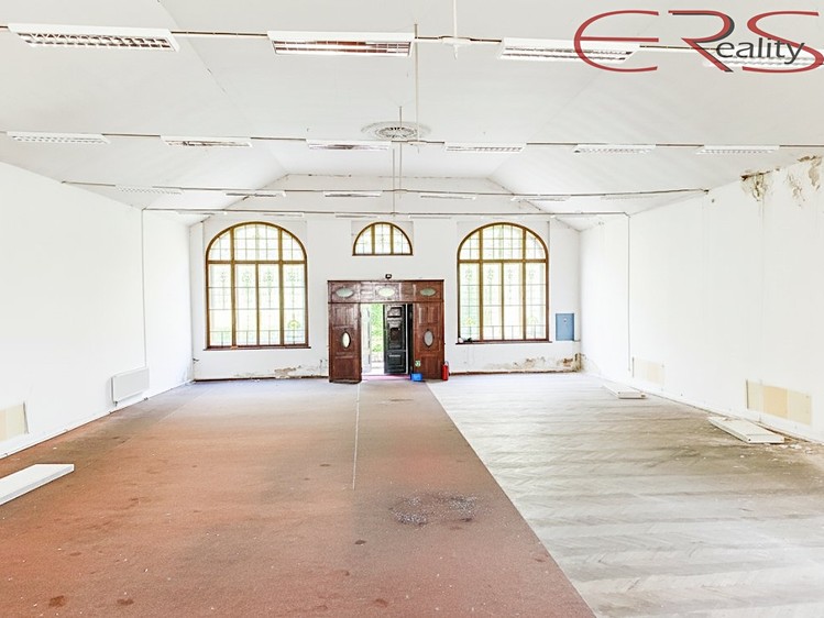 Prodej obchodního prostoru 750 m² - foto 5