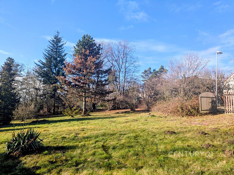 Prodej komerční nemovitosti 2 485 m² - foto 8