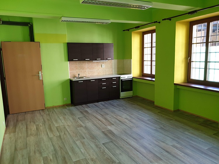 Prodej činžovního domu 570 m² - foto 3
