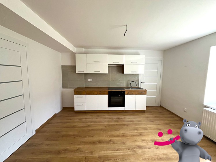 Prodej činžovního domu 315 m² - foto 3