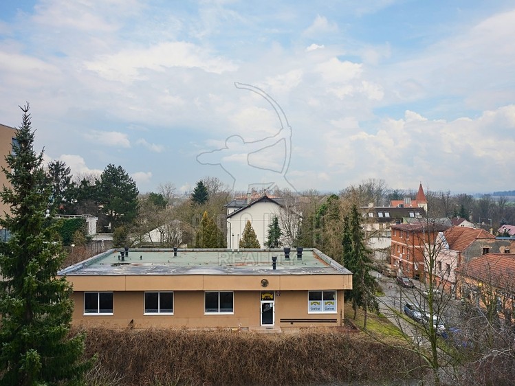 Prodej komerční nemovitosti 451 m² - foto 1