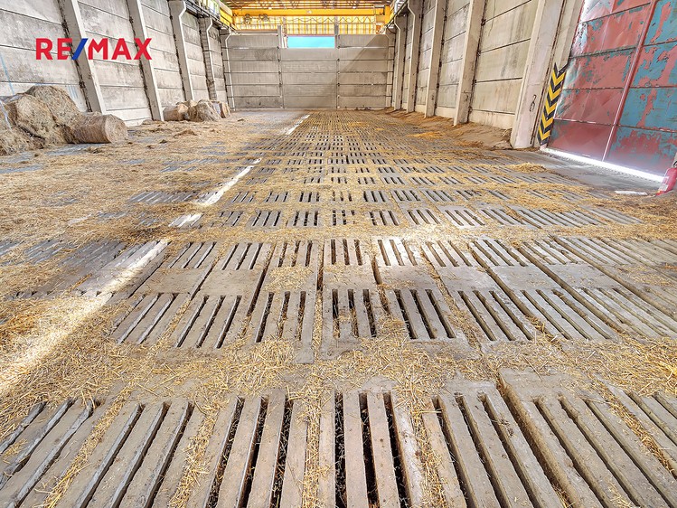 Prodej skladového prostoru 1 400 m² - foto 7