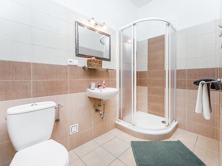 Prodej obchodního prostoru 425 m² - foto 7