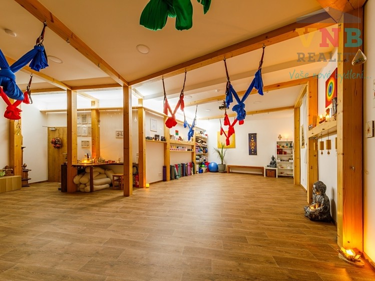 Prodej komerční nemovitosti 205 m² - foto 1