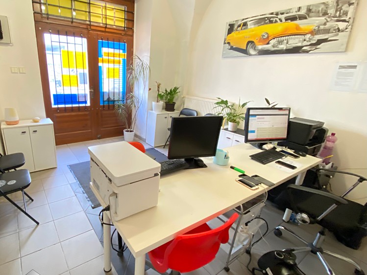 Prodej činžovního domu 515 m² - foto 7