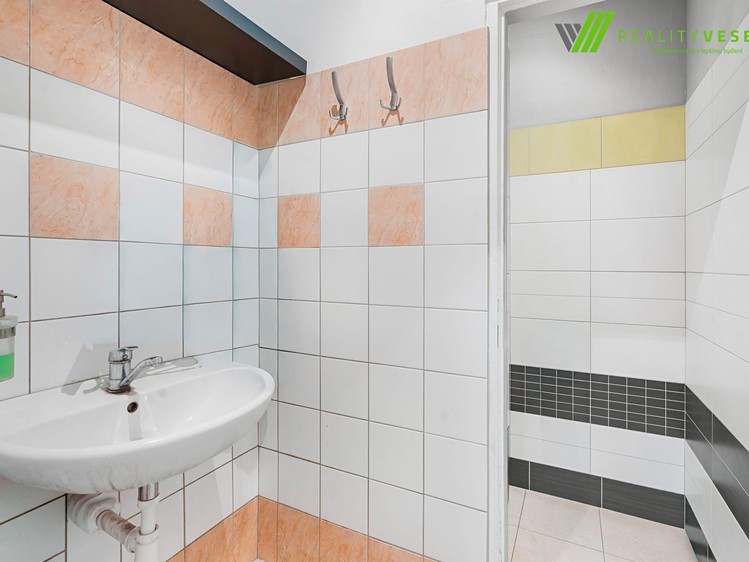 Prodej obchodního prostoru 173 m² - foto 8
