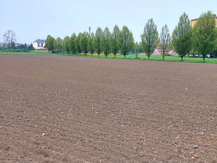 Prodej komerční nemovitosti 2 771 m² - foto 5