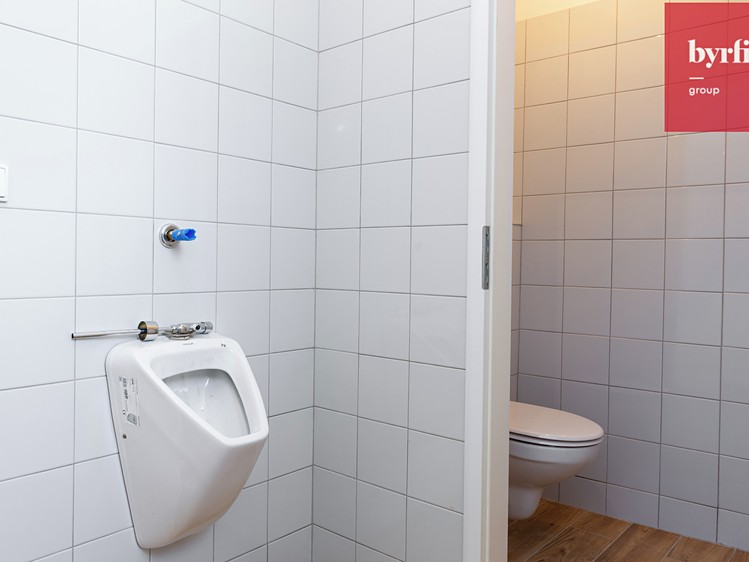 Prodej obchodního prostoru 44 m² - foto 5