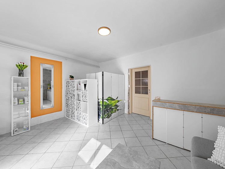 Prodej činžovního domu 262 m² - foto 6