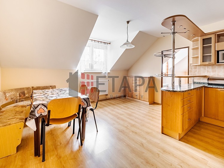 Prodej ubytovacího zařízení 382 m² - foto 4