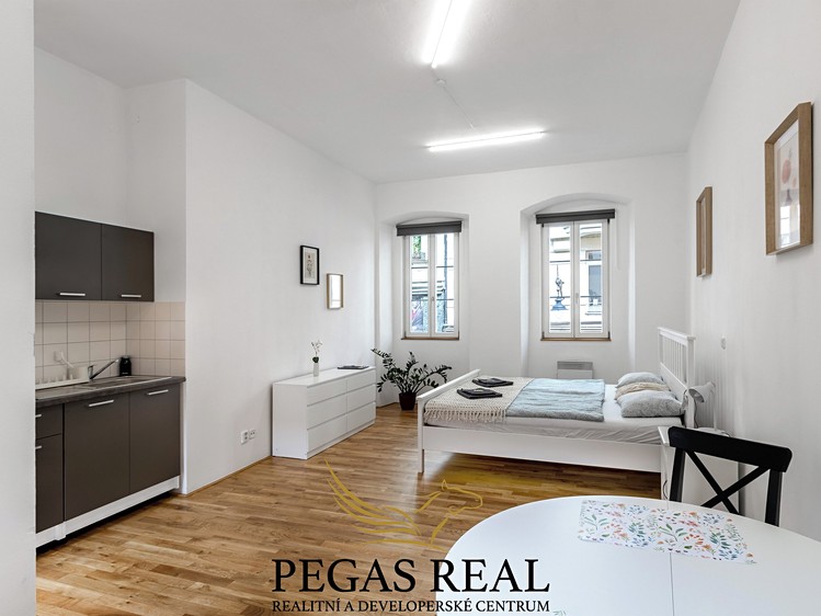Prodej činžovního domu 302 m² - foto 8