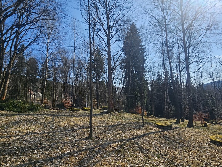 Prodej ubytovacího zařízení 635 m² - foto 6