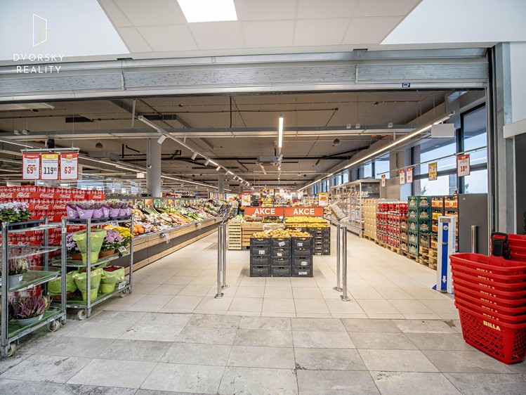 Prodej obchodního prostoru 4 857 m² - foto 4