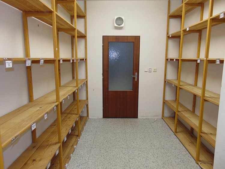 Pronájem kanceláře 11 m² - foto 3