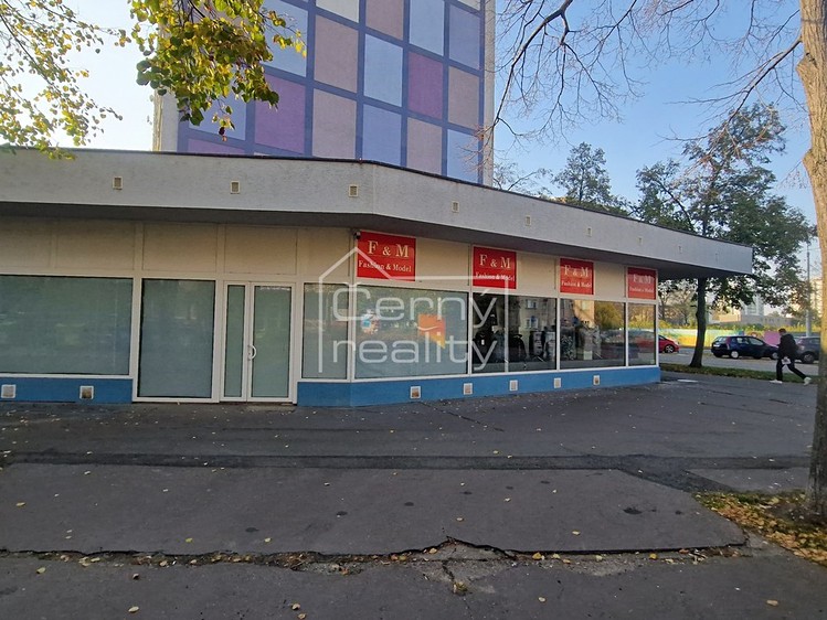 Pronájem obchodního prostoru 465 m² - foto 4