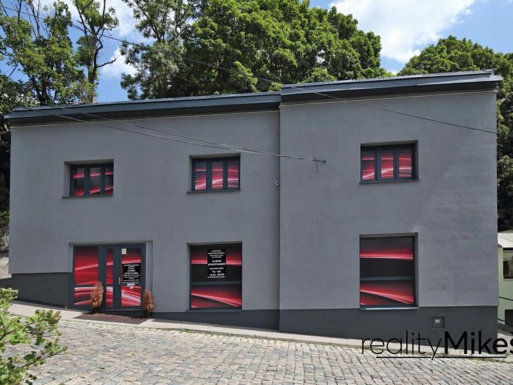 Pronájem obchodního prostoru 351 m² - foto 2