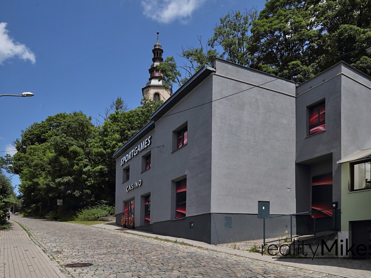 Pronájem obchodního prostoru 351 m² - foto 7