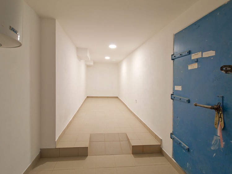 Pronájem obchodního prostoru 260 m² - foto 6