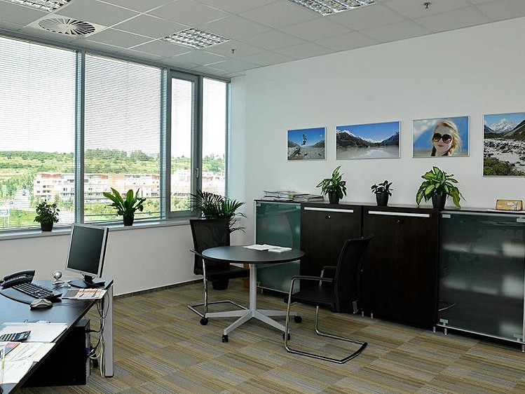 Pronájem kanceláře 890 m² - foto 7