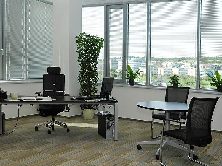 Pronájem kanceláře 890 m² - foto 6