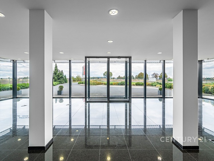Pronájem obchodního prostoru 700 m² - foto 3