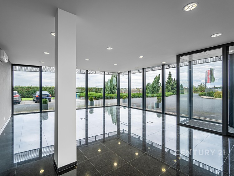 Pronájem obchodního prostoru 700 m² - foto 4