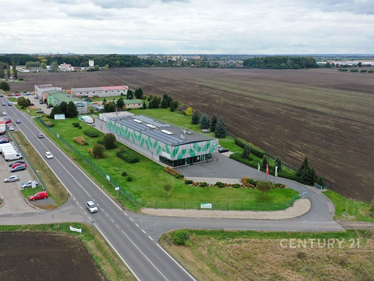 Pronájem obchodního prostoru 700 m² - foto 7