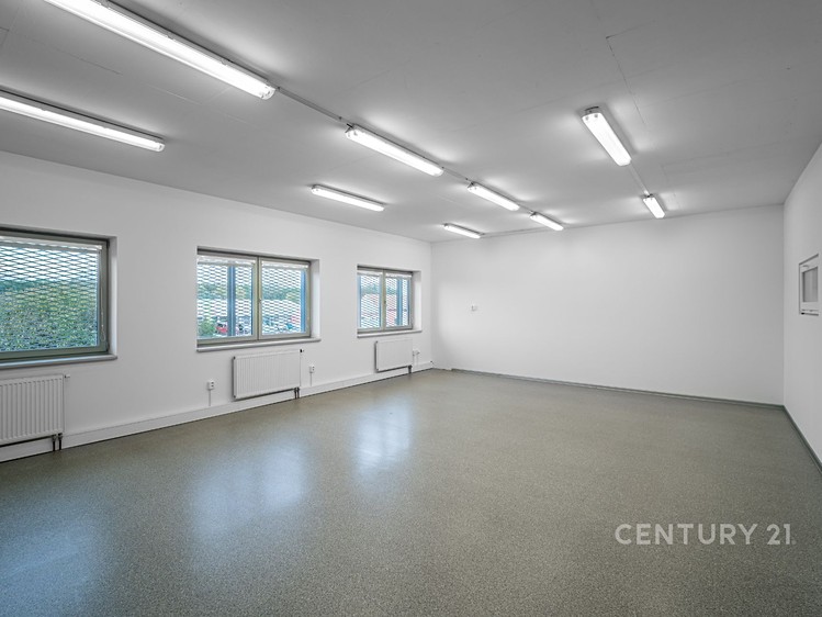 Pronájem obchodního prostoru 700 m² - foto 6