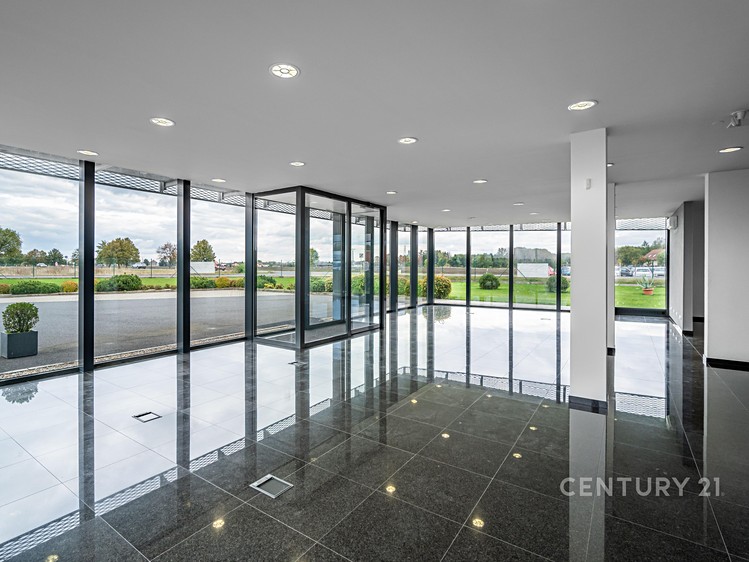 Pronájem obchodního prostoru 700 m² - foto 5