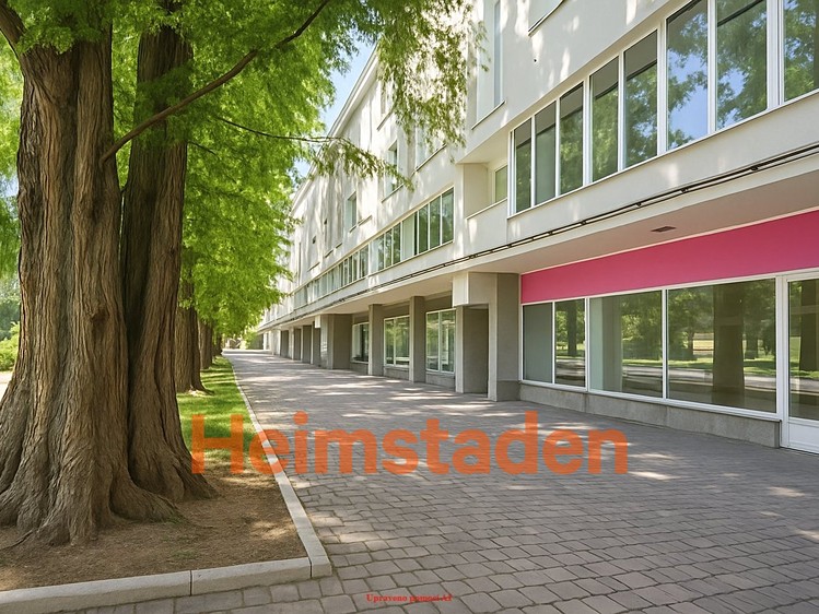 Pronájem obchodního prostoru 376 m² - foto 2