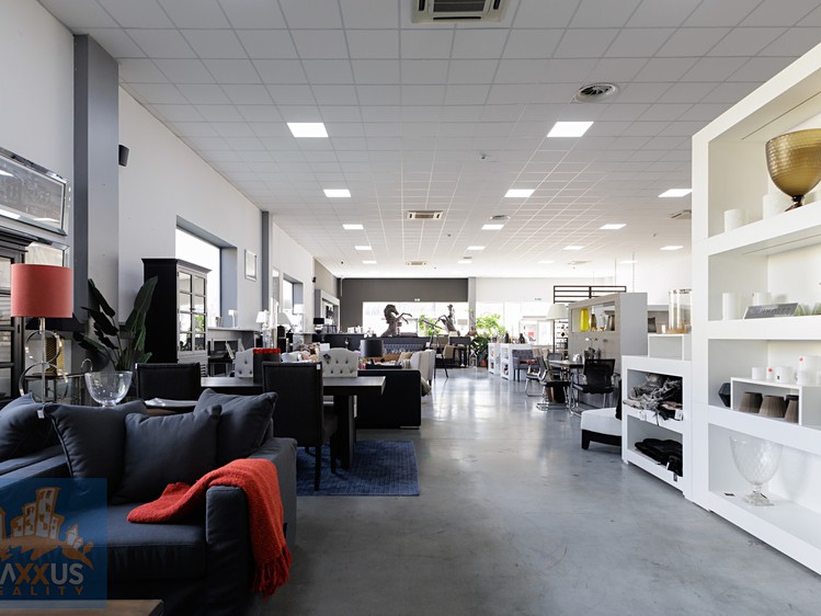 Pronájem obchodního prostoru 259 m² - foto 5