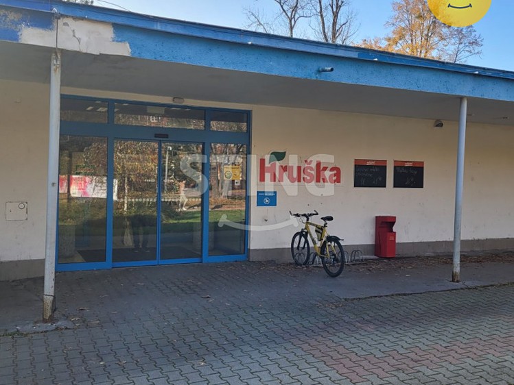 Pronájem obchodního prostoru 215 m² - foto 4