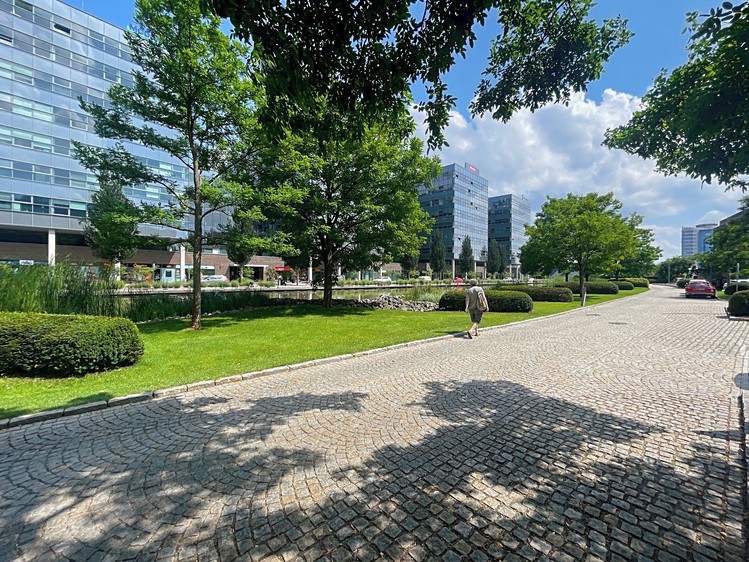 Pronájem kanceláře 60 m² - foto 4