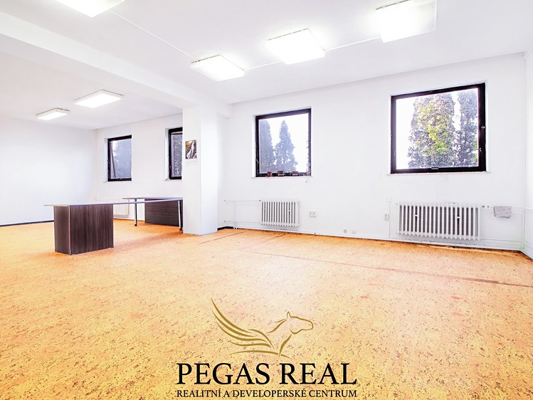 Pronájem kanceláře 66 m² - foto 6