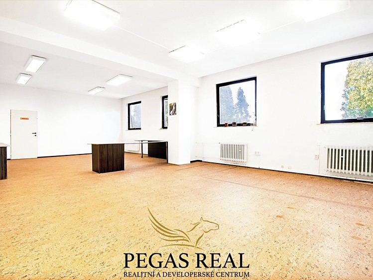 Pronájem kanceláře 66 m² - foto 5
