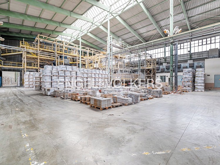 Pronájem výrobní haly, prostoru 30 000 m² - foto 6
